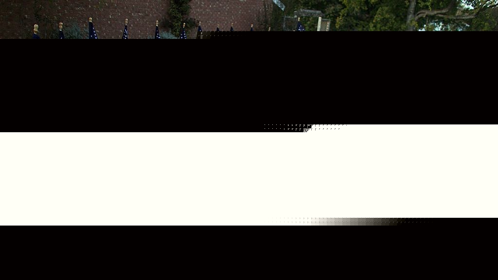特朗普取消胡德堡枪击案凶犯行刑直播 图1